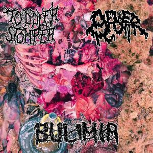 GANGRENOUS CYSTOMA (HYPEREMISIS)