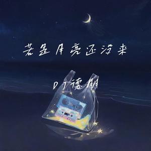 若是月亮还没来（DJ德朋版）