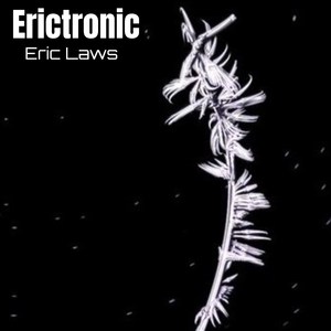 Erictronic 1