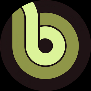 Everybody 2.0 (Original Mix)