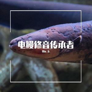 兔子狗