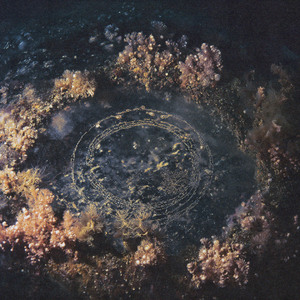 Premiere: Joline Scheffler - Questioning Reality [EXE-2]