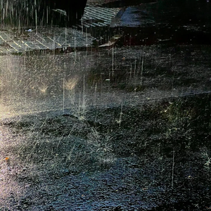 坠落的星是雨的序章