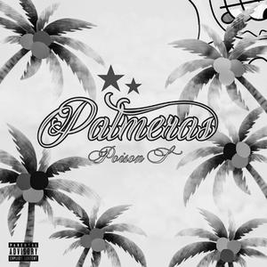 PALMERAS Intro