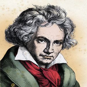 献给爱丽丝 贝多芬