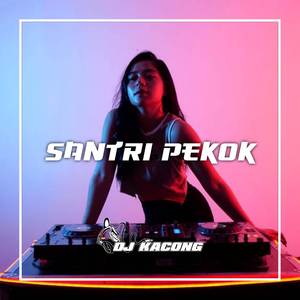 DJ SANTRI PEKOKK