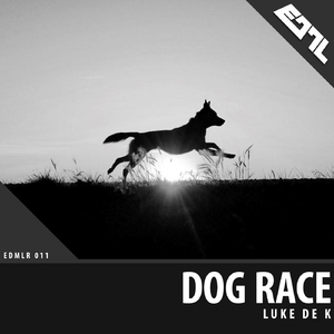Dog Race