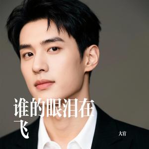 谁的眼泪在飞