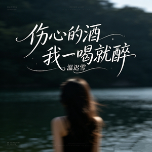 伤心的酒我一喝就醉