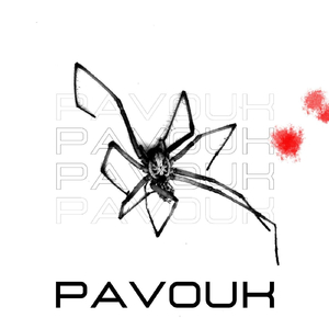 Pavouk