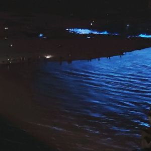 난 외로움에 대해 말해（关于孤独）