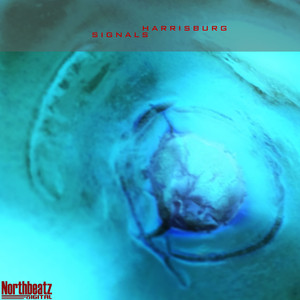 Slippage (Original Mix)