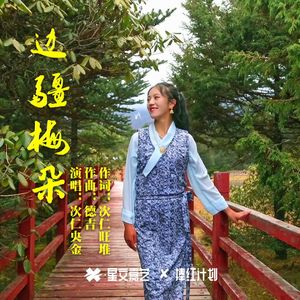 边疆梅朵