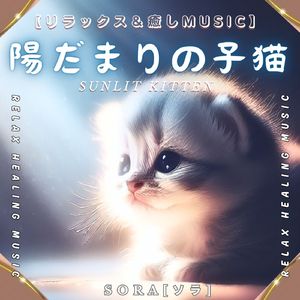 陽だまりの子猫