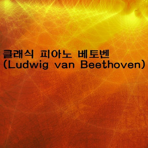 베토벤 피아노 소타타 29번 함머클라비어 Sonata No. 29 Bb major (Hammerklavier) Opus 106 1. Movement Allegro