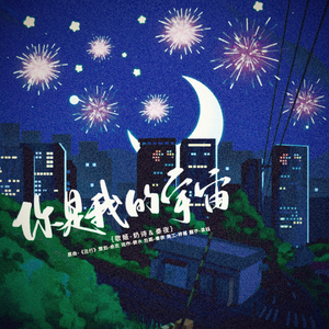你是我的宇宙