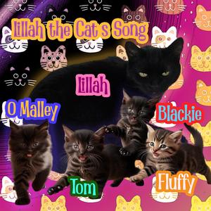 Lillah the Cat's Song