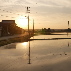 君色の風の吹く町へ