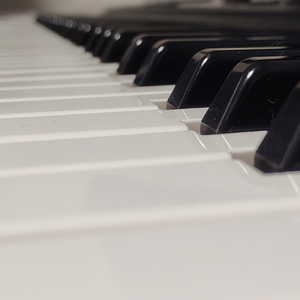 内臓の標本 (feat. 重音テト)