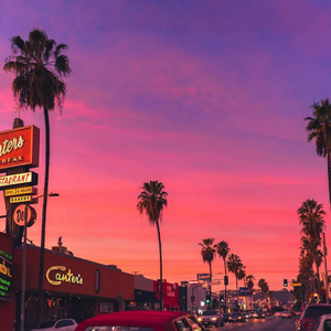 奇思妙想聪明的小羊/干声旋律（冲吧小羊）