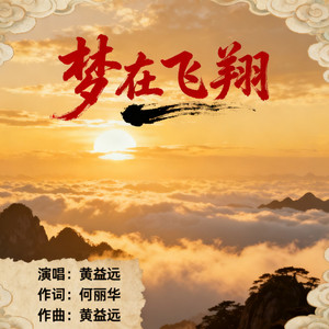 梦在飞翔