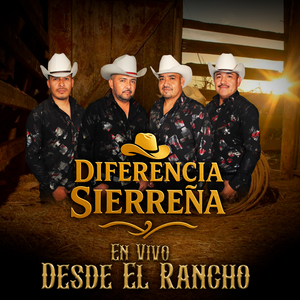 Luz De Dia (En Vivo)