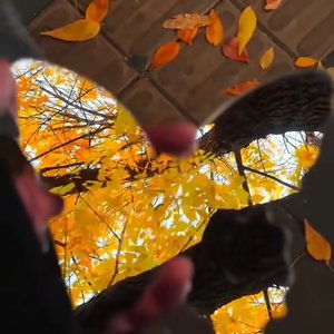 不想争吵，不留遗憾