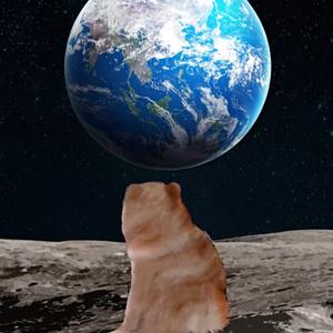 迷幻糖果 / 犬儒乐队-妖风过海（鹤鸣 remix）