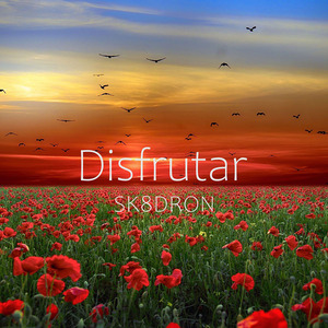 Disfrutar