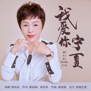 我爱你宁夏