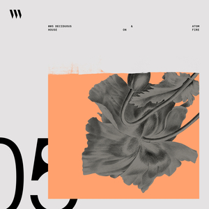 Let It Out (Original Mix)