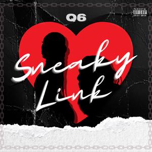 Sneaky Link