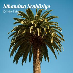 Sthandwa Senhliziyo