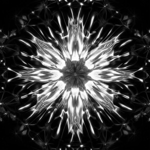 AFFILIATED (Cover)