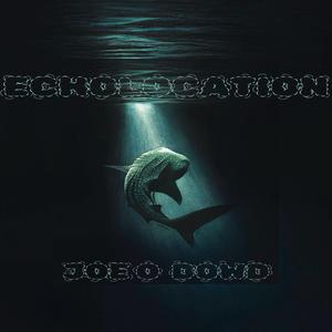 Echolocation