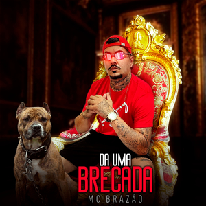 Da uma Brecada