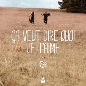 Ça veut dire quoi je t'aime