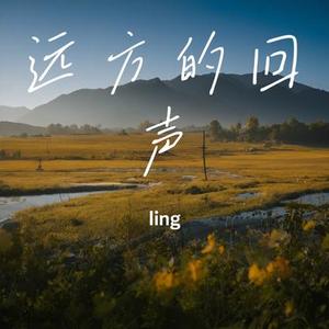 远方的回声