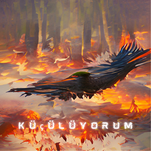 Süzülüyorum