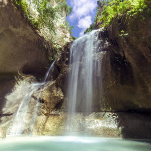 Gizemli Ağaçlık Serenatı