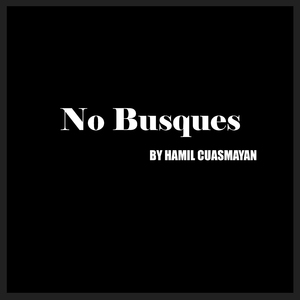 No Busques