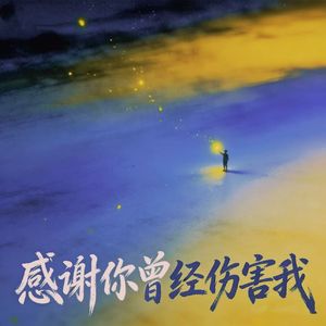 感谢你曾经伤害我