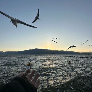 她(Prod.BECU BEATZ)