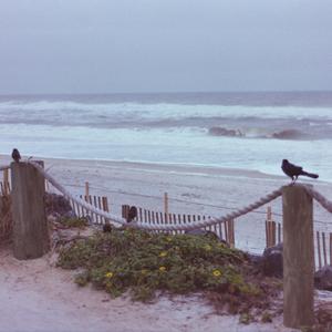 Riptide