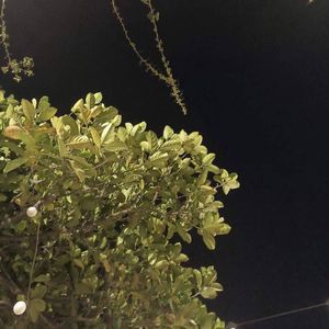 所见(PROD.by Yn1jasper）