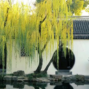 打破黑暗迎接黎明