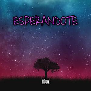 Esperandote
