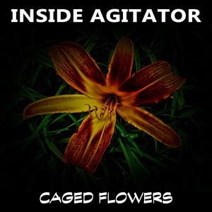 Inside Agitator