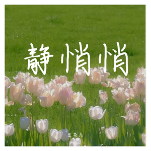 转换_静悄悄3（翻自 陈泫孝（大泫））