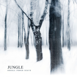 JUNGLE (Instrumental Version)